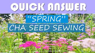 QUICK ANSWER || How do I start cold hardy annual seeds in the SPRING?