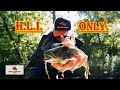 Trout Fishing [ HOFMANN'S LURES ]  Hard-Baits ONLY !!!