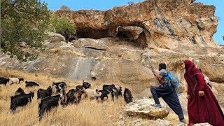 🐑 Sheep grazing in Zagros mountains: nomadic culture 🌿