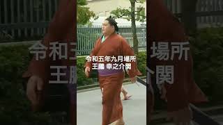 No.299 王鵬 幸之介関