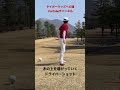 タイガーウッズへの道 tigerwoods 100切り 90切り 80切り golf ゴルフ タイガーウッズ タイガーウッズへの道 japan ラウンド ゴルフレッスン