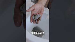 養貓的人注意了！貓砂倒馬桶會發生什麼事呢？ #水電爸爸    #貓砂 #馬桶 #cat #貓  #shorts