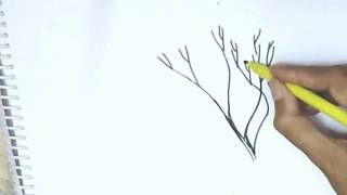 How to draw a leafless tree without leaves easy steps, step by step