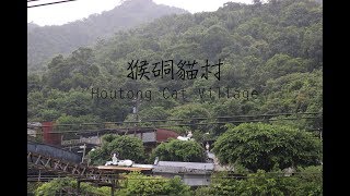 二花貓妹妹吃喝玩樂VLOG - 猴硐貓村  #travel