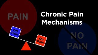 Chronic Pain Mechanisms