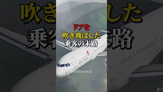 ドアを吹き飛ばした乗客の末路 #航空機事故 #飛行機事故 #飛行機