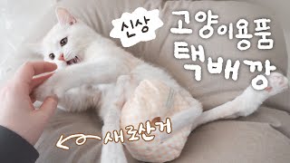 내돈내산 이번달에도 잔뜩 샀어요! 고양이 용품 택배깡 🛒