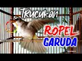 Trucukan LANGSUNG EMOSI !!! Pancingan TRUCUK ROPEL Sambil GARUDA