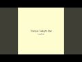 Tranquil Twilight Star