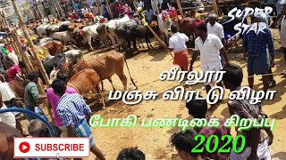 @Shadowtamizhan | போகி பண்டிகையை முன்னிட்டு மஞ்சு விரட்டு 14/01/2020