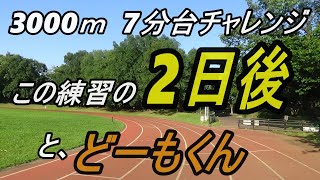 ホクレン3000ｍ最終刺激