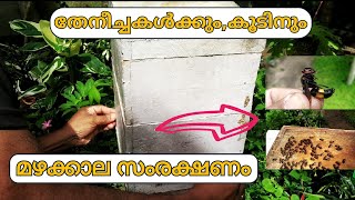 മഴക്കാലത്ത് തേനീച്ചക്കൂട്ടിൽ ചെയ്യേണ്ട ജോലികൾ | ഇതു ചെയ്തില്ലെങ്കിൽ കോളനി നഷ്ട്ടമാകും | beekeeping |