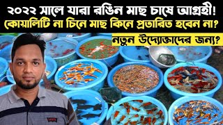 ১০, ১৫ থেকে ২০ টাকায় রঙিন মাছ | রঙিন মাছ পাইকারী দামে | aquarium fish price 2022 @shykhseraj