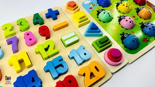 Best Learn Shapes, Numbers & Counting 1 to 20 | Preschool Toddler Learning Toy Video