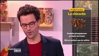 Produit du jour : la chicorée - La Quotidienne la suite