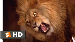 Crocodile Dundee in Los Angeles (2001) - Lion Attack Scene (10/10) | Movieclips