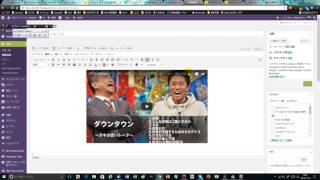 WordPressテーマSTORKにYoutube動画を埋め込んでレスポンシブにする方法