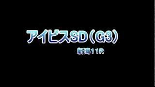 アイビスSD（G3）