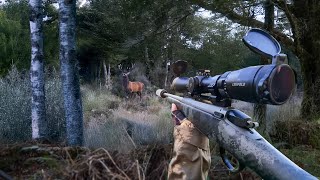 It Came Out Just Before Dark | Solo 8 Day Hunt 2025