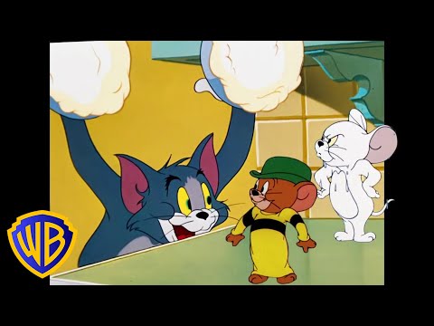 Tom y Jerry, el juego del gato y el ratón, recopilación de dibujos animados clásicos WB Kids