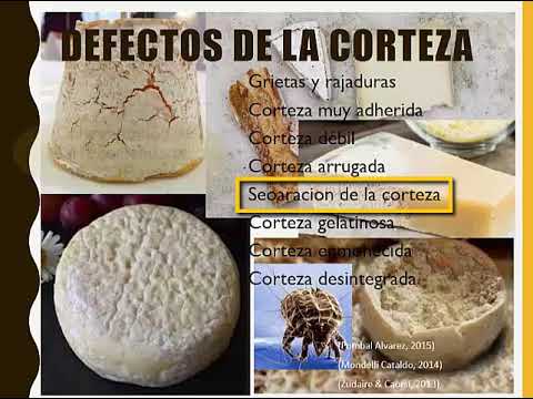 MICROBIOLOGIA DEL QUESO. FORMACION DE LA CORTEZA Y PUTREFACCION - YouTube