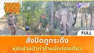 (คลิปเต็ม) สั่งปิดภูกระดึง หลังช้างป่าทำร้ายนักท่องเที่ยว (13 ธ.ค. 67) | แซ่บทูเดย์