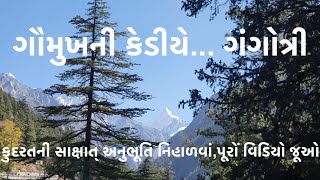 गौमुख - गंगोत्री | Gomukh Gangotri | Chardham Uttarakhand | Om Namah Shivay | ગૌમુખ ગંગોત્રી