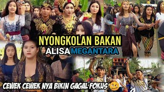 Alisa megantara nyongkolan bakan