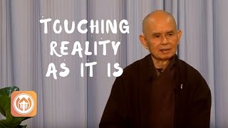 Touching Reality as It Is | Thich Nhat Hanh (short teaching video)