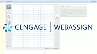 Using the Graphing Tool | WebAssign Student
