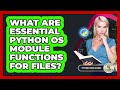 What Are Essential Python Os Module Functions For Files? - Python Code School