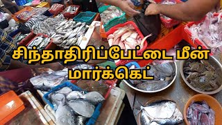 My chintadripet fish market Experience | Dhivya Tamil Vlog