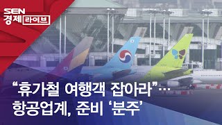 “휴가철 여행객 잡아라”…항공업계, 준비 ‘분주’