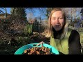 how to harvest u0026 replant turmeric wash cure store medicinal benefits u0026 uses growing tips