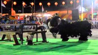 International Lion Dance Narathiwat 2013_10