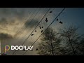 Mystery of the Flying Kicks | Official Trailer | DocPlay