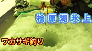 桧原湖氷上ワカサギ釣り（難）