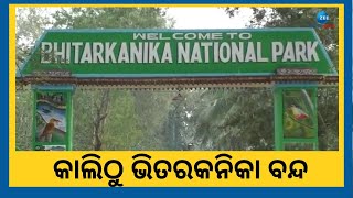 Bhitarkanika Close । ବଉଳା କୁମ୍ଭୀରଙ୍କ ପ୍ରଜନନ ଋତୁ ଆରମ୍ଭ, ଆସନ୍ତାକାଲିରୁ ଭିତରକନିକା ବନ୍ଦ । Odisha News