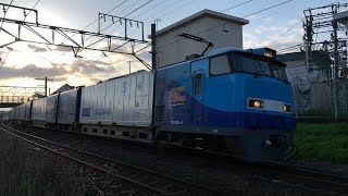 貨物列車撮影記 東海道本線 草薙～清水間 2021/4/10