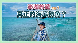 【澎湖旅遊ep.1】養在廟裡的海龜龍宮，體驗真正的海底撈！？