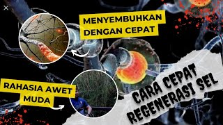 CARA INI BISA MEMEPERCEPAT REGENERASI SEL TUBUH