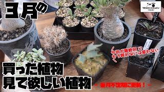 【植物】#197 - 3月の買った植物\u0026見てほしい植物【ベストバイ】