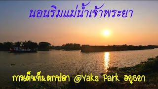 จุดกางเต็นท์ Yaks Park อยุธยา