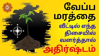 வேப்பமரம் வீட்டில் எந்த திசையில் வளர்த்தால் அதிர்ஷ்டம் | Neem tree vasthu