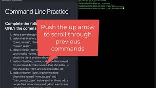 Full Stack Web Developer Course: 8_12 - Command Line Practice