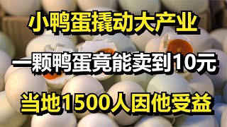 小鸭蛋撬动大产业，一枚咸鸭蛋竟卖能到10元，贵州1500人因他受益