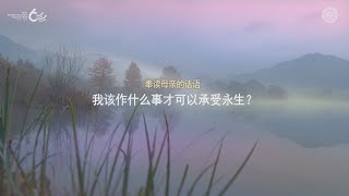 我该作什么事 才可以承受永生？ | 母亲上帝