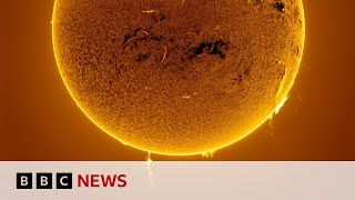 Stunning photos show the Sun like never before | BBC News