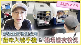 【帶貓移民台灣】夜機飛台灣過程全紀錄 ，留寵物在台灣機場過夜原來沒想像中可怕 | 貓奴與寵物移民紀錄 #領養不棄養