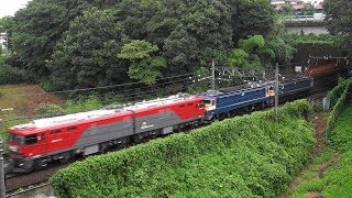 金曜日に撮った貨物列車　稲城付近　2018-07-06